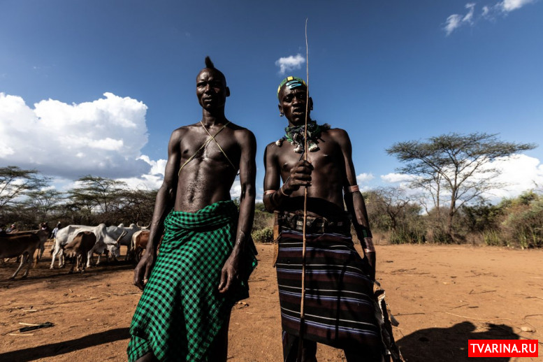 Изолированное гостеприимство и красота на грани уродства: история о встрече с племенами Эфиопии