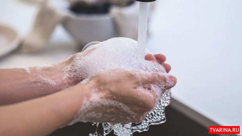 Четверть американцев моются раз в 3 дня, - исследование гигиены в США