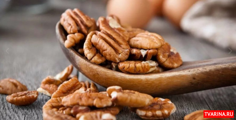 Ореховый бизнес: 11 самых распространенных вопросов о выращивании пекана