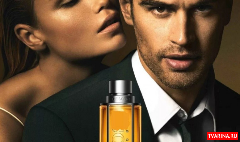 Лучшие духи для мужчин, популярные ароматы - советы парфюмера