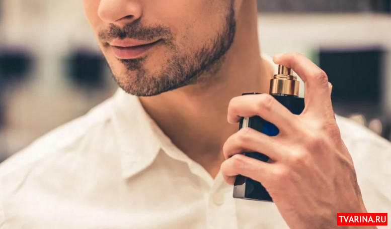 Как выбрать духи для мужчин популярные ароматы